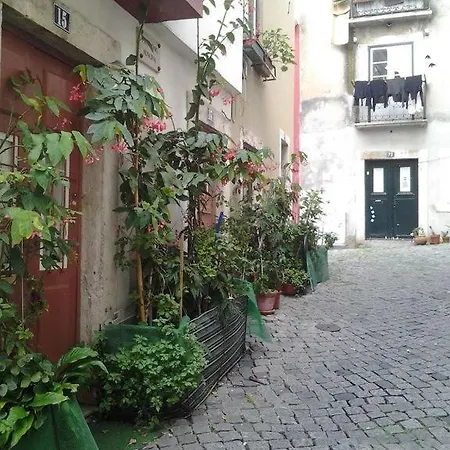 Historical Flat Design *